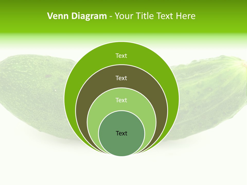 One Green Cucumber On A White Background. PowerPoint Template