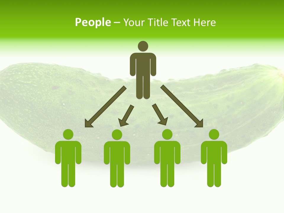 One Green Cucumber On A White Background. PowerPoint Template