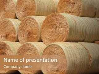 Close Up Stacked Up Large Freshly Baled Round Hay Bales. Gold And Green In Color. PowerPoint Template