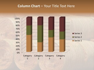 Close Up Stacked Up Large Freshly Baled Round Hay Bales. Gold And Green In Color. PowerPoint Template