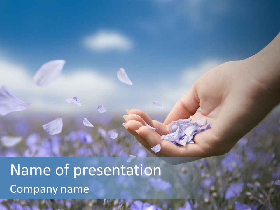 A Women Holding Flower Petals Blowing In The Wind. PowerPoint Template