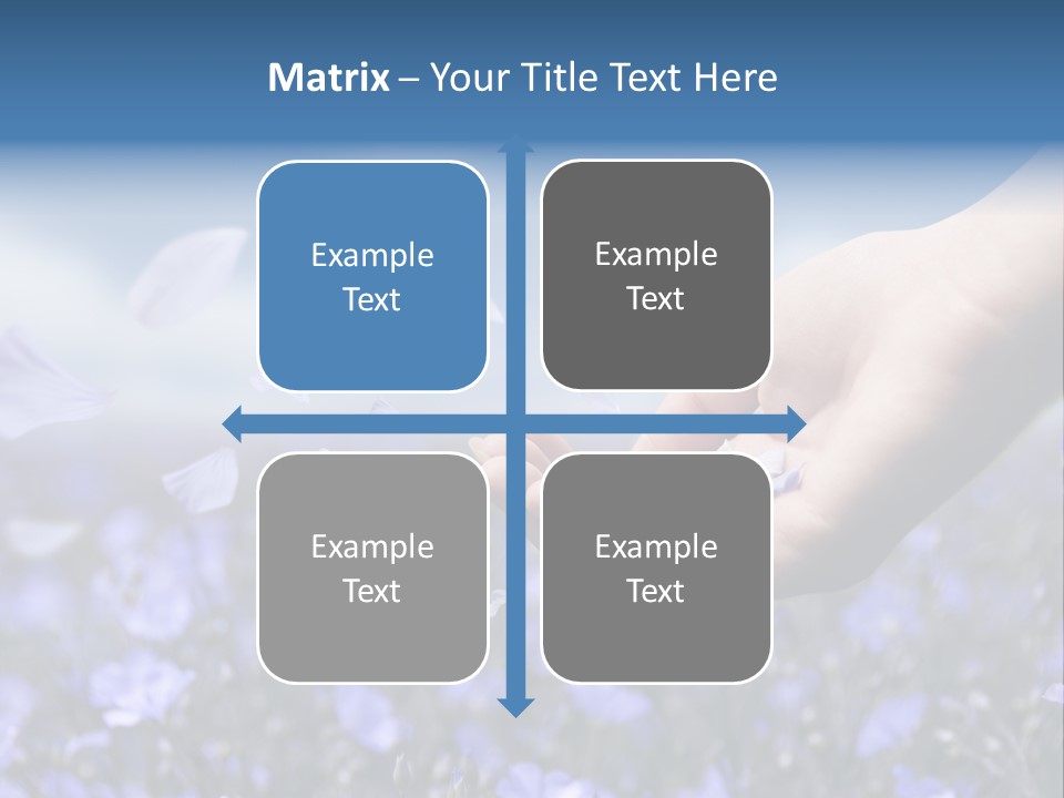 A Women Holding Flower Petals Blowing In The Wind. PowerPoint Template