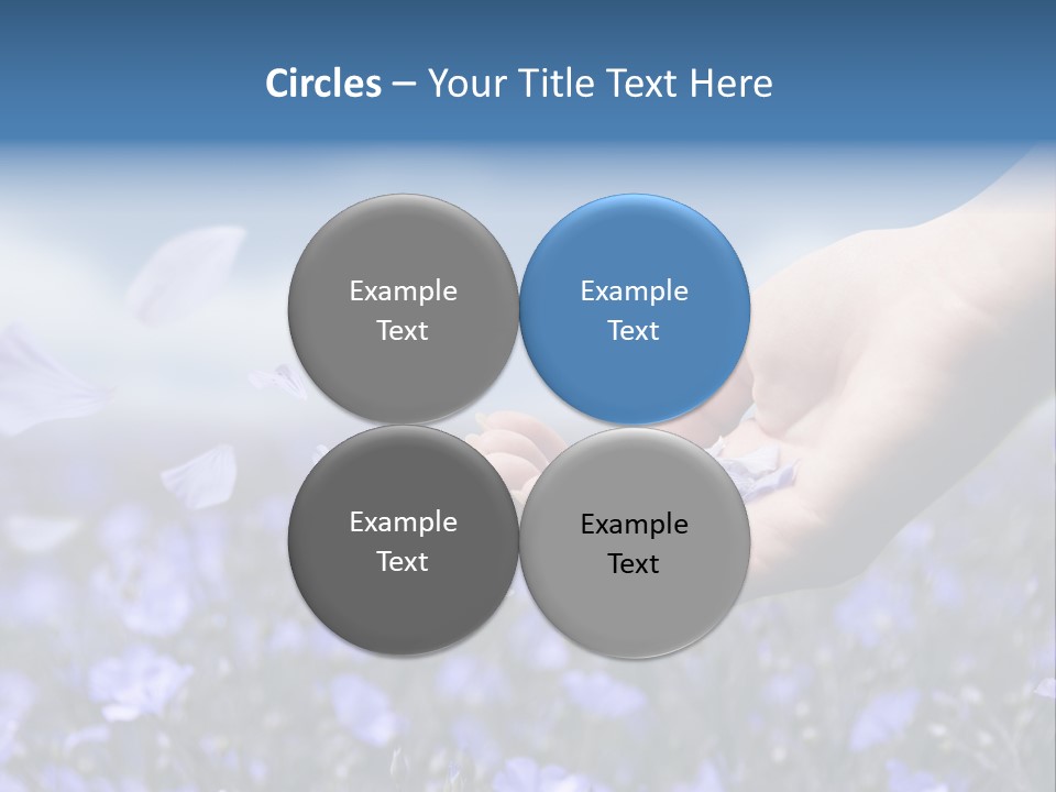 A Women Holding Flower Petals Blowing In The Wind. PowerPoint Template