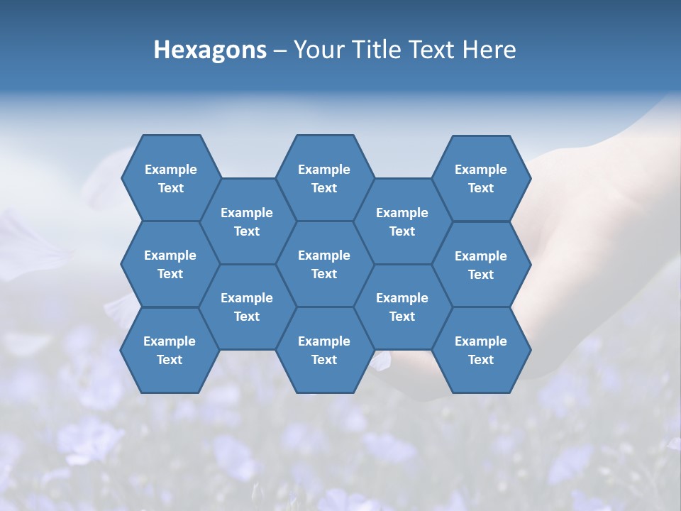 A Women Holding Flower Petals Blowing In The Wind. PowerPoint Template