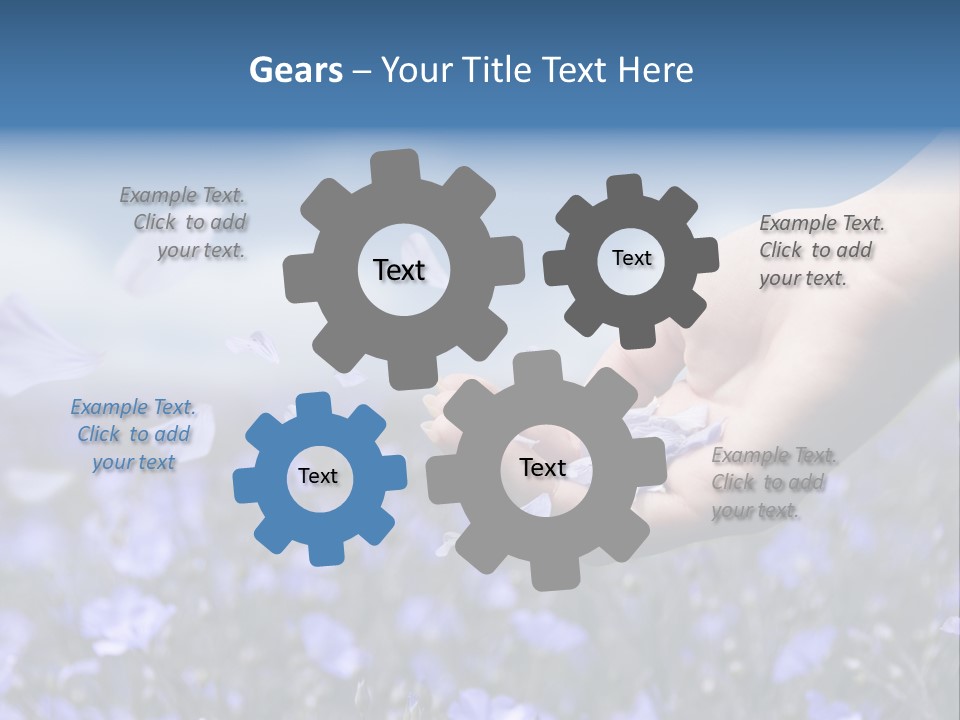 A Women Holding Flower Petals Blowing In The Wind. PowerPoint Template