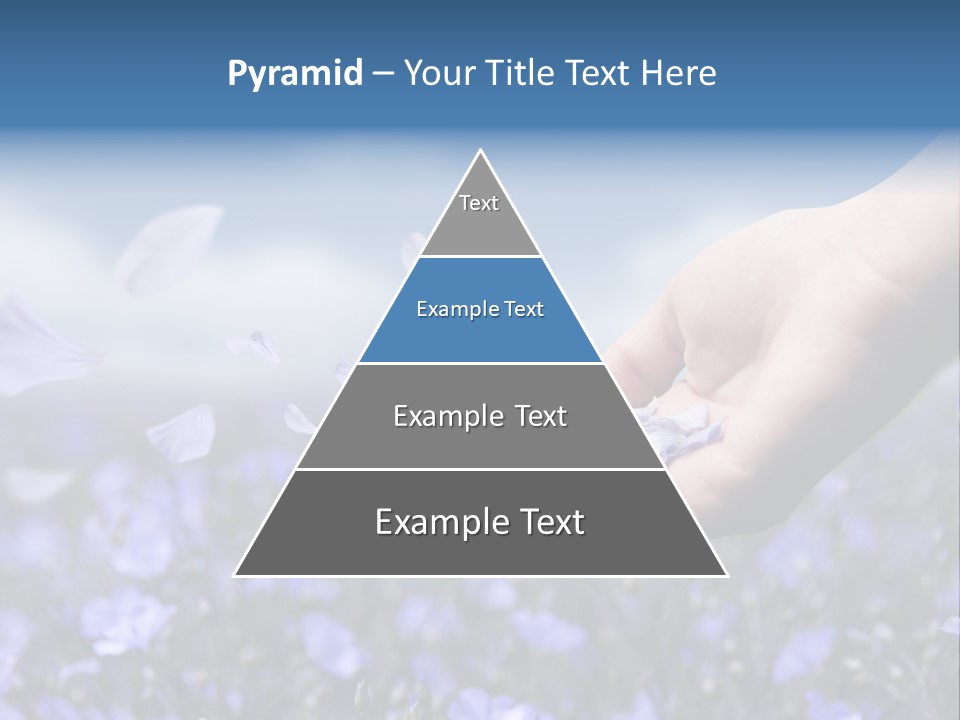 A Women Holding Flower Petals Blowing In The Wind. PowerPoint Template