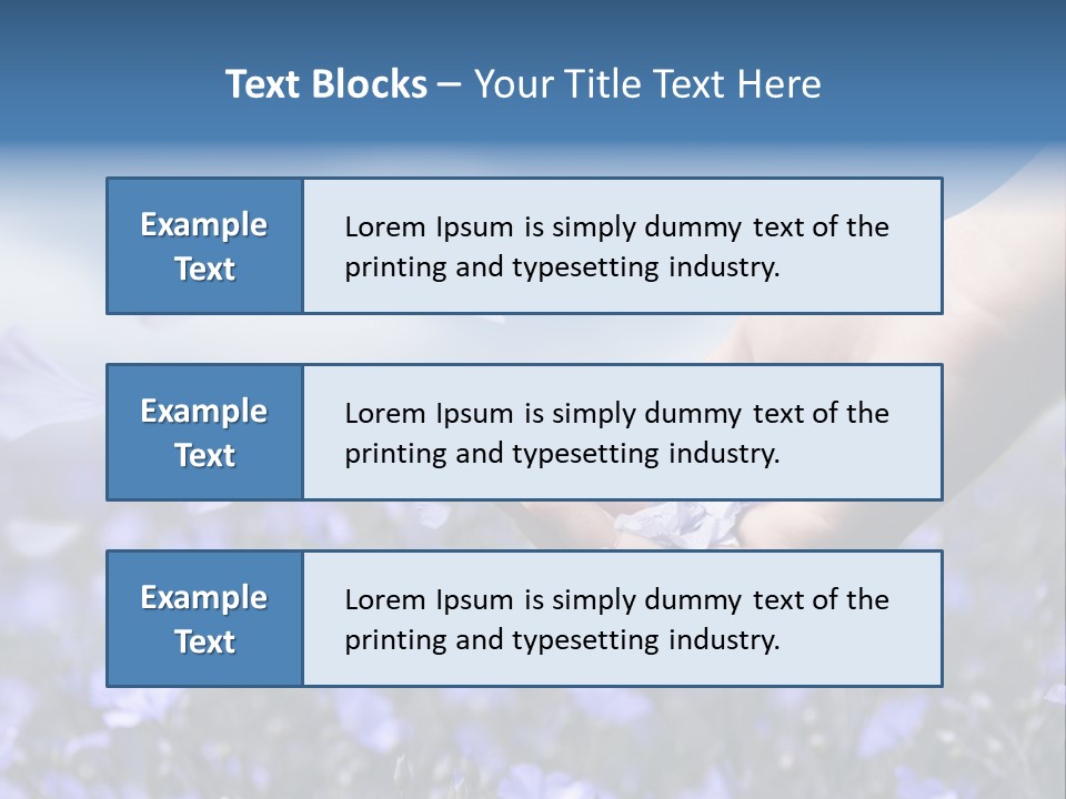 A Women Holding Flower Petals Blowing In The Wind. PowerPoint Template