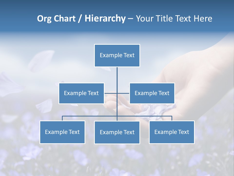 A Women Holding Flower Petals Blowing In The Wind. PowerPoint Template