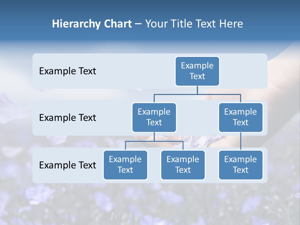 A Women Holding Flower Petals Blowing In The Wind. PowerPoint Template