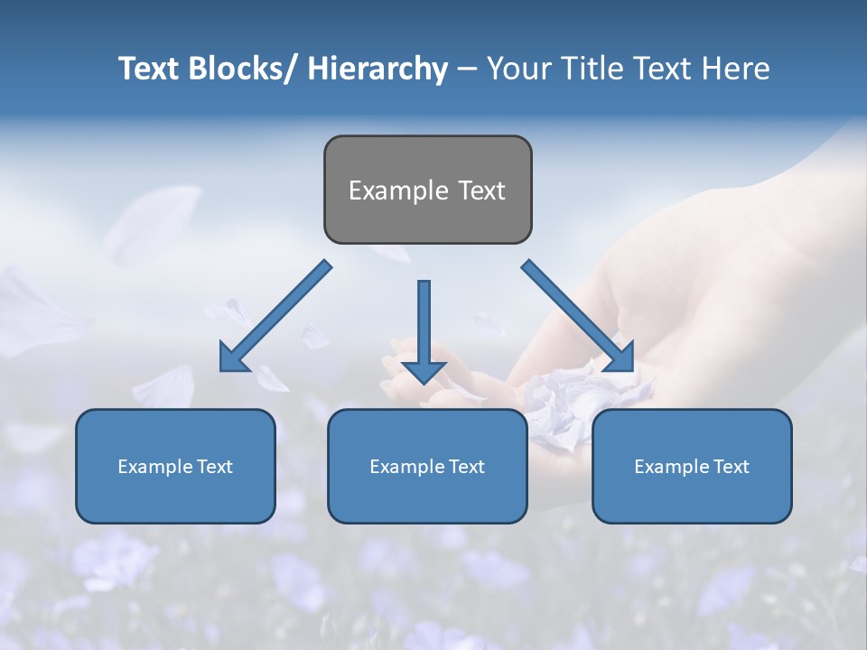 A Women Holding Flower Petals Blowing In The Wind. PowerPoint Template