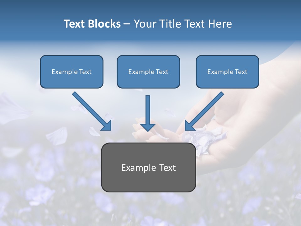 A Women Holding Flower Petals Blowing In The Wind. PowerPoint Template