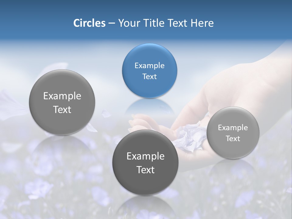 A Women Holding Flower Petals Blowing In The Wind. PowerPoint Template