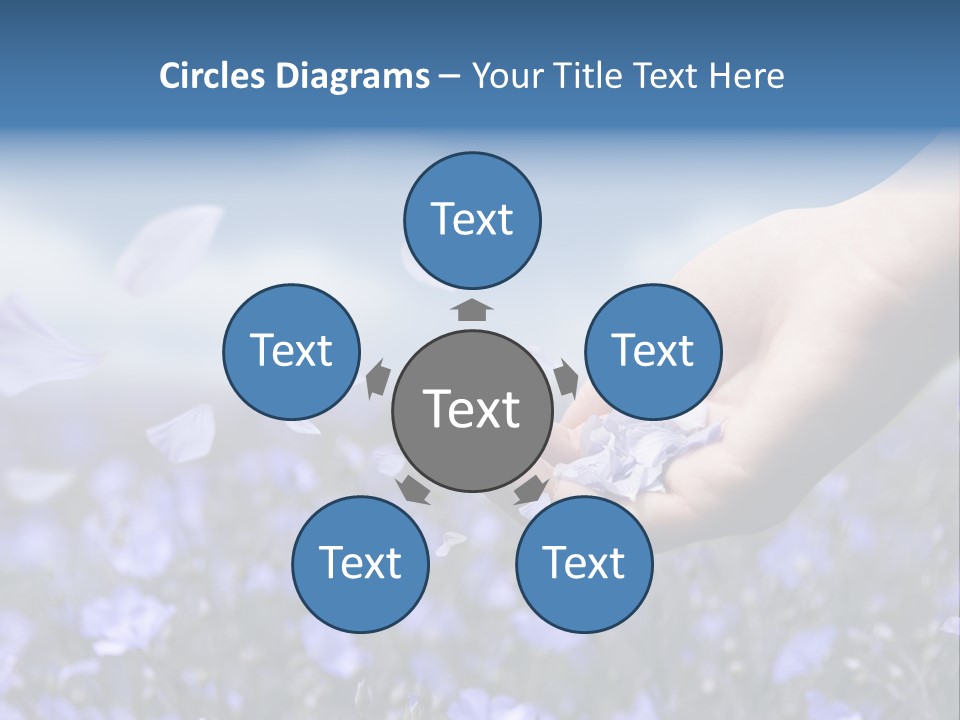 A Women Holding Flower Petals Blowing In The Wind. PowerPoint Template