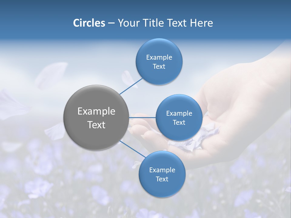 A Women Holding Flower Petals Blowing In The Wind. PowerPoint Template