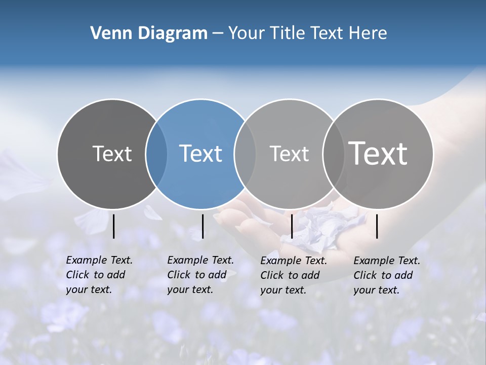 A Women Holding Flower Petals Blowing In The Wind. PowerPoint Template