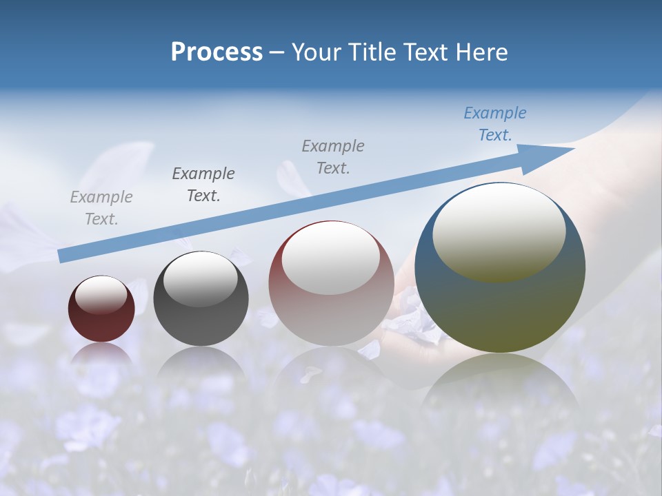 A Women Holding Flower Petals Blowing In The Wind. PowerPoint Template