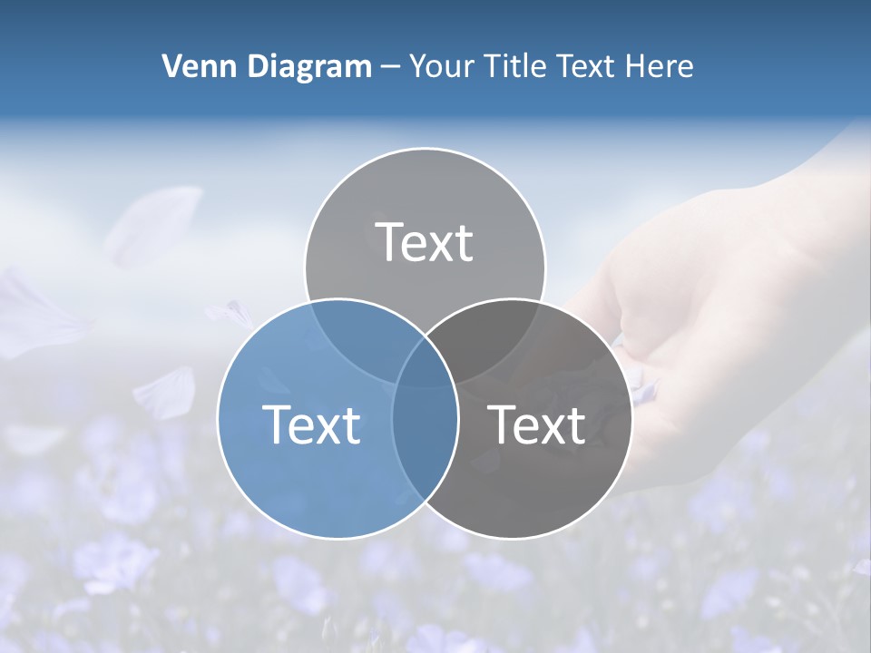 A Women Holding Flower Petals Blowing In The Wind. PowerPoint Template