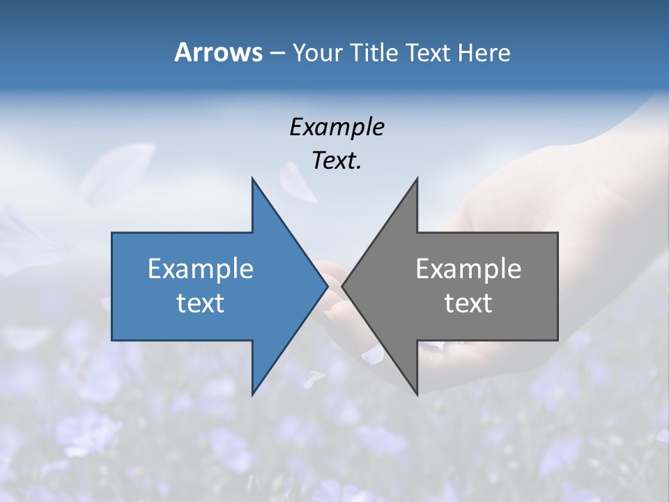 A Women Holding Flower Petals Blowing In The Wind. PowerPoint Template