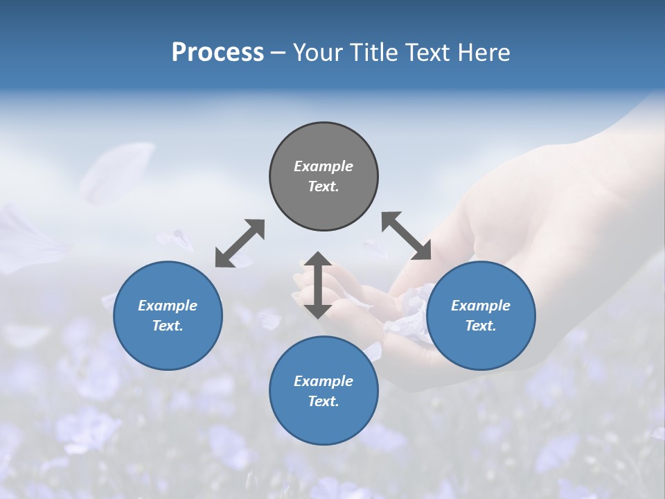 A Women Holding Flower Petals Blowing In The Wind. PowerPoint Template