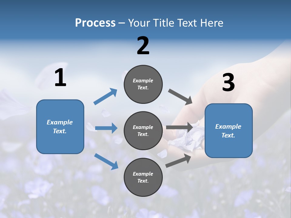 A Women Holding Flower Petals Blowing In The Wind. PowerPoint Template