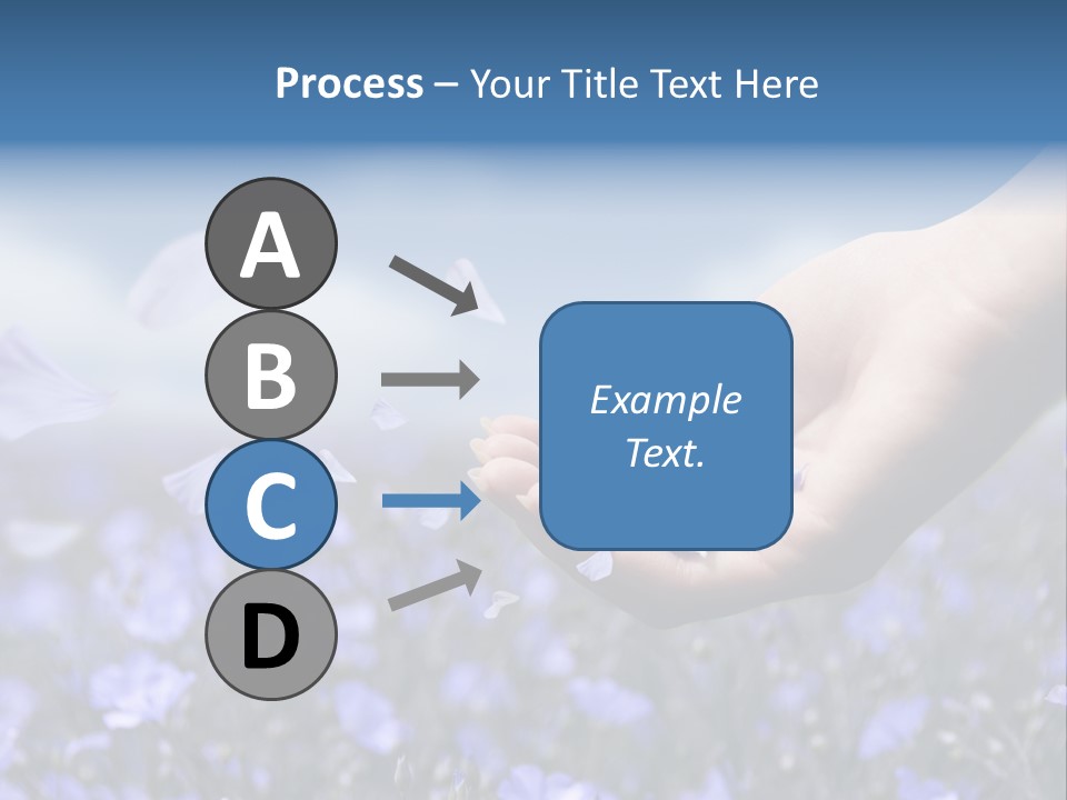 A Women Holding Flower Petals Blowing In The Wind. PowerPoint Template