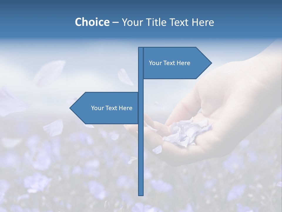 A Women Holding Flower Petals Blowing In The Wind. PowerPoint Template