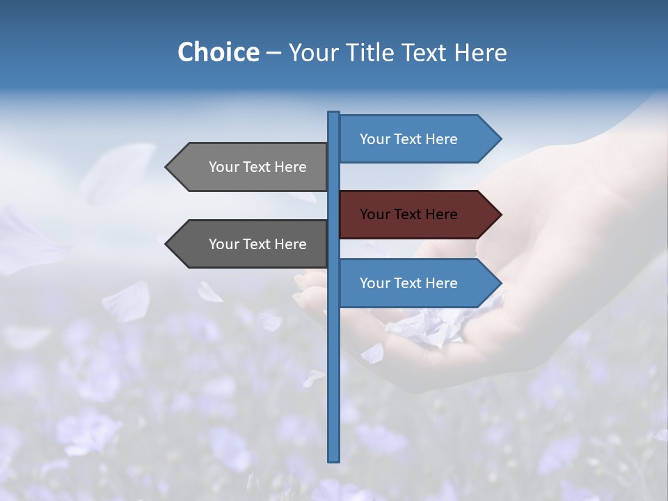 A Women Holding Flower Petals Blowing In The Wind. PowerPoint Template