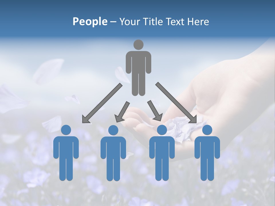 A Women Holding Flower Petals Blowing In The Wind. PowerPoint Template