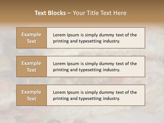 A Sandwich Is Cut In Half On A Plate PowerPoint Template