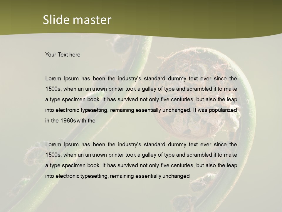 Two Green Fiddleheads On A Woodland Fern In Spring PowerPoint Template