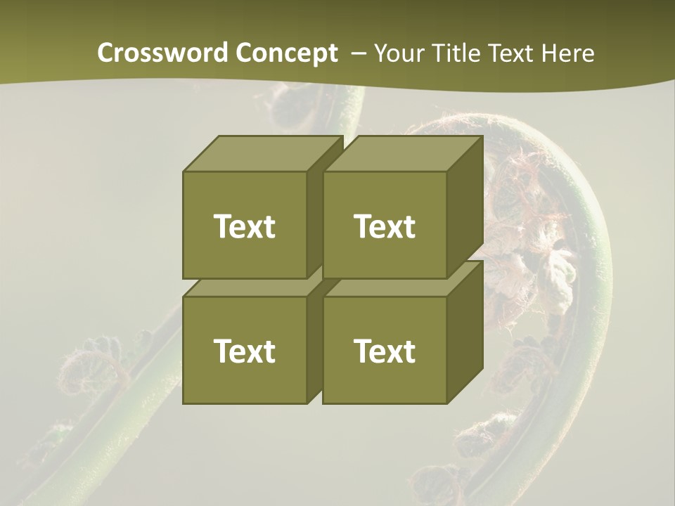 Two Green Fiddleheads On A Woodland Fern In Spring PowerPoint Template