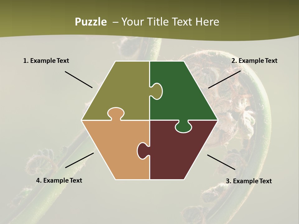 Two Green Fiddleheads On A Woodland Fern In Spring PowerPoint Template