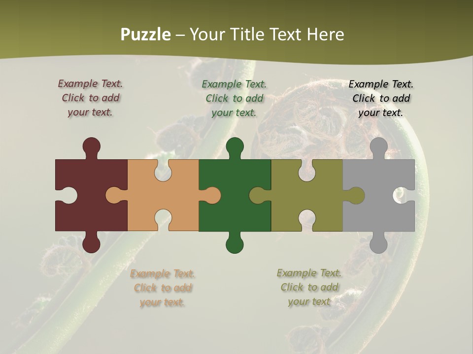 Two Green Fiddleheads On A Woodland Fern In Spring PowerPoint Template