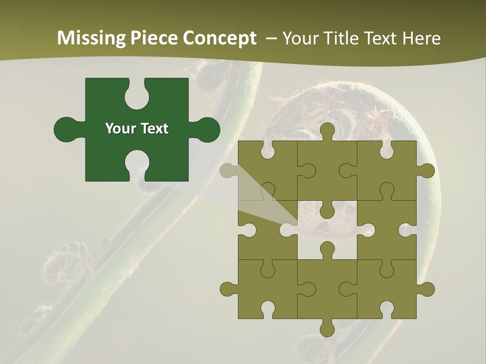 Two Green Fiddleheads On A Woodland Fern In Spring PowerPoint Template