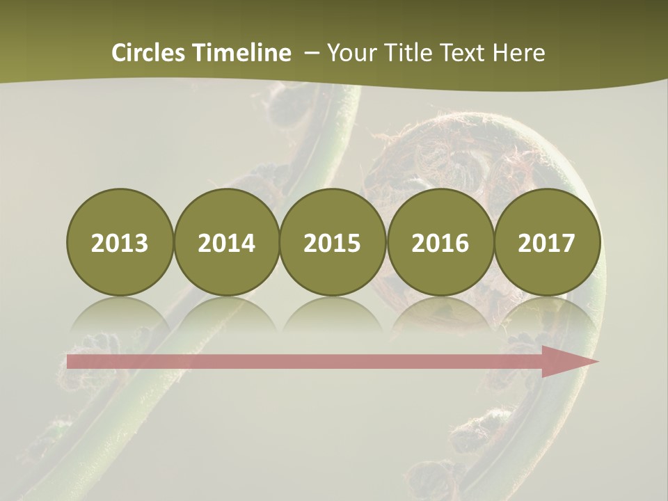 Two Green Fiddleheads On A Woodland Fern In Spring PowerPoint Template