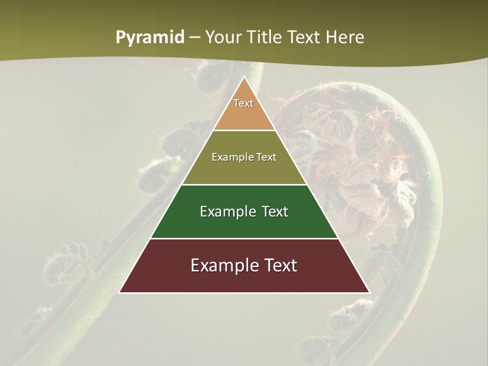 Two Green Fiddleheads On A Woodland Fern In Spring PowerPoint Template