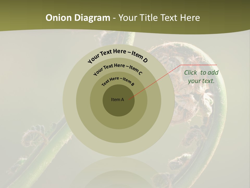 Two Green Fiddleheads On A Woodland Fern In Spring PowerPoint Template