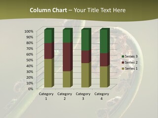 Two Green Fiddleheads On A Woodland Fern In Spring PowerPoint Template