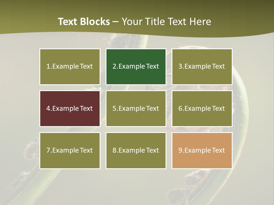 Two Green Fiddleheads On A Woodland Fern In Spring PowerPoint Template