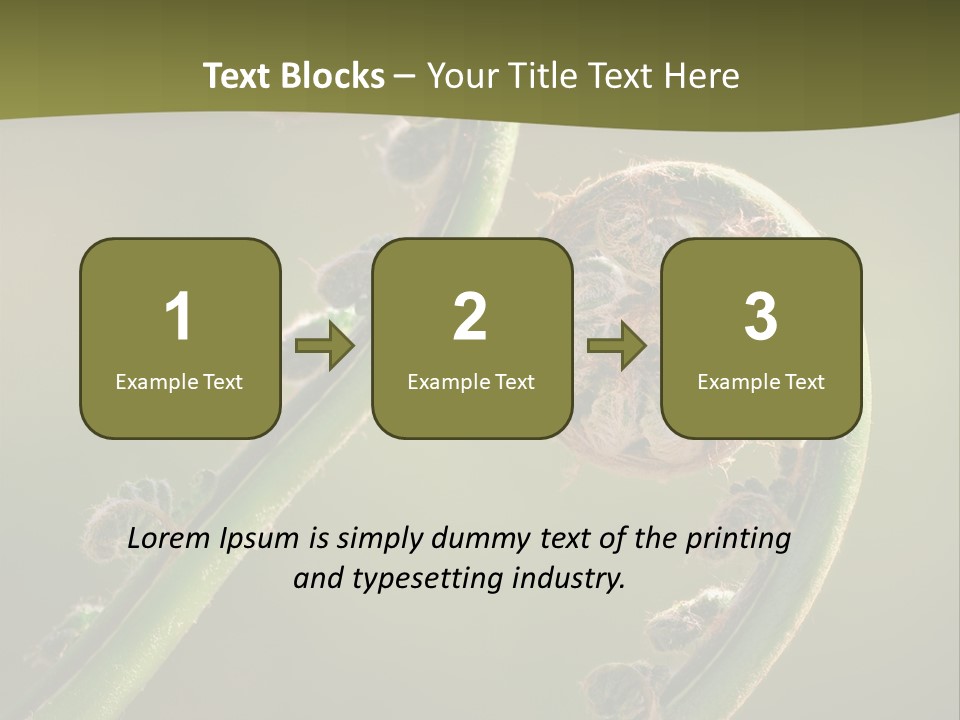 Two Green Fiddleheads On A Woodland Fern In Spring PowerPoint Template
