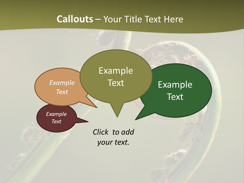Two Green Fiddleheads On A Woodland Fern In Spring PowerPoint Template