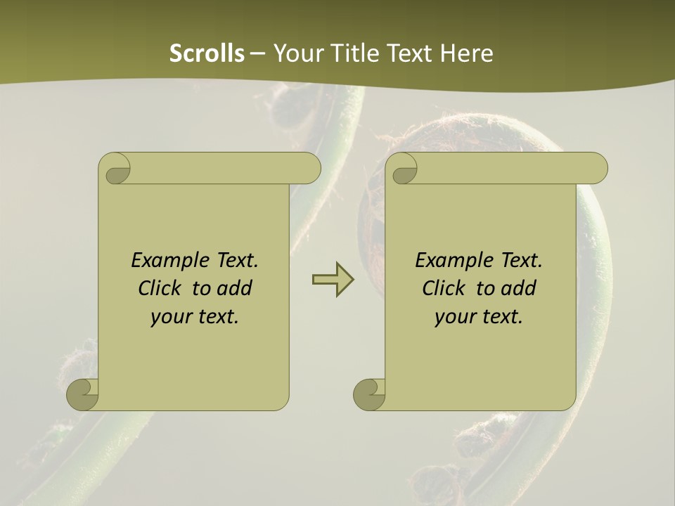 Two Green Fiddleheads On A Woodland Fern In Spring PowerPoint Template