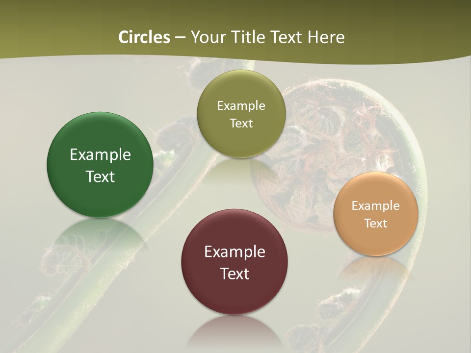 Two Green Fiddleheads On A Woodland Fern In Spring PowerPoint Template