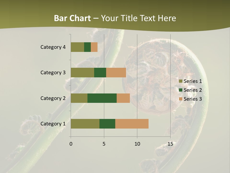 Two Green Fiddleheads On A Woodland Fern In Spring PowerPoint Template