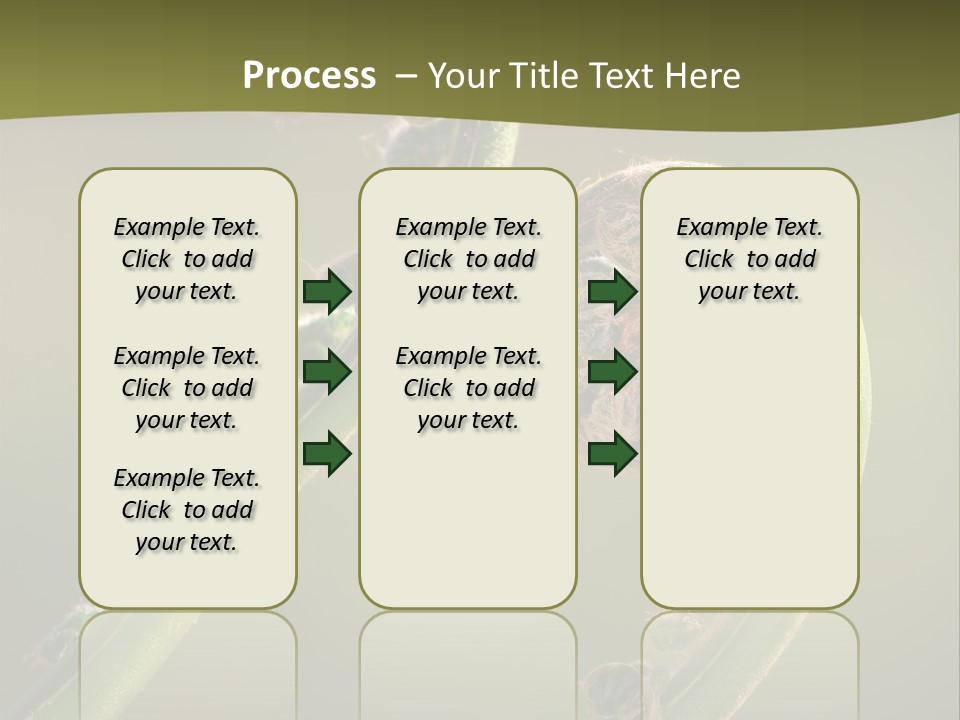 Two Green Fiddleheads On A Woodland Fern In Spring PowerPoint Template
