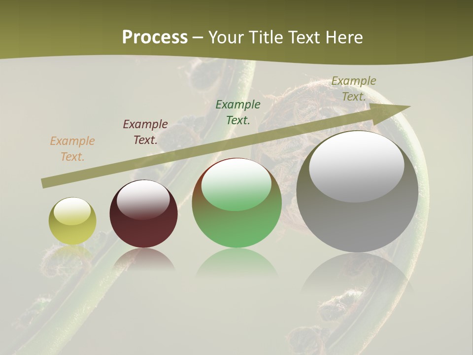 Two Green Fiddleheads On A Woodland Fern In Spring PowerPoint Template