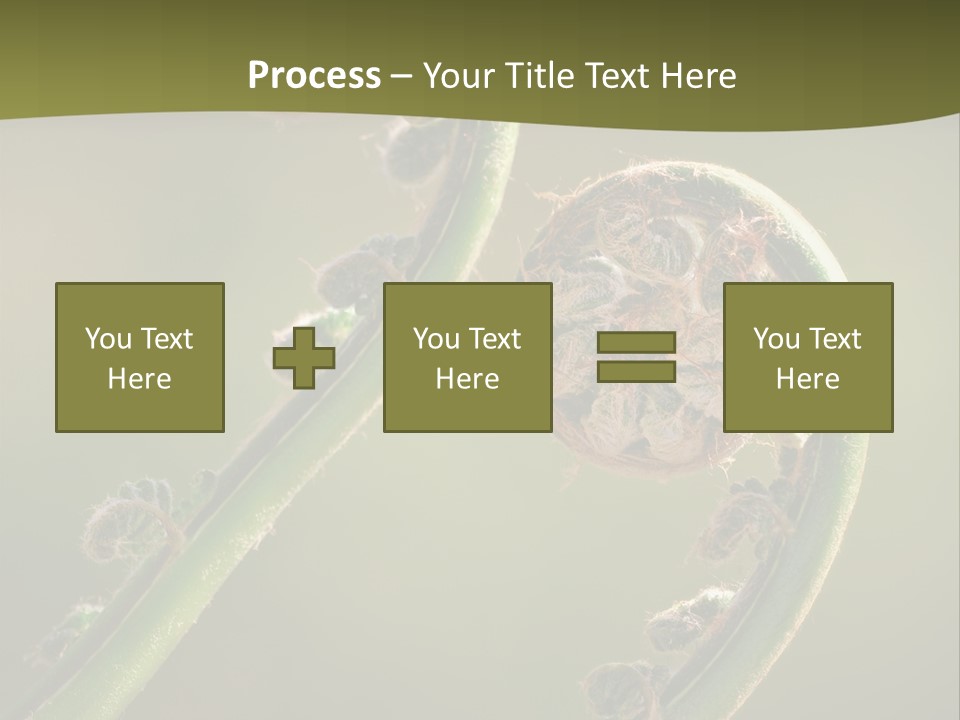 Two Green Fiddleheads On A Woodland Fern In Spring PowerPoint Template