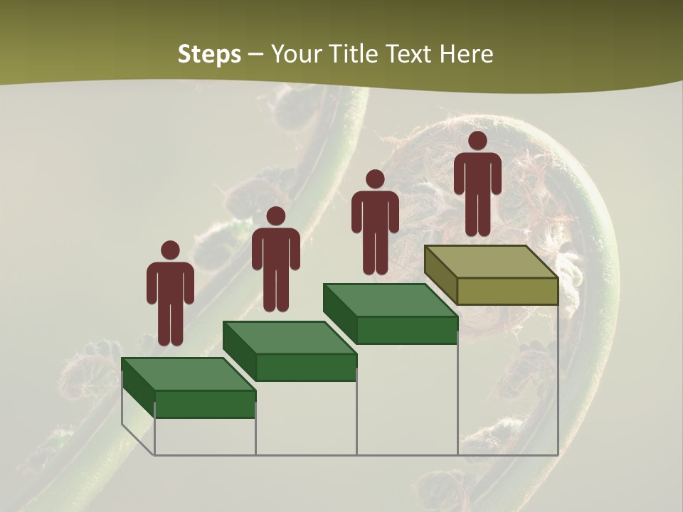 Two Green Fiddleheads On A Woodland Fern In Spring PowerPoint Template