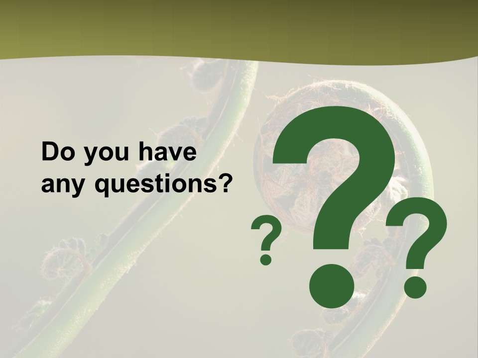 Two Green Fiddleheads On A Woodland Fern In Spring PowerPoint Template