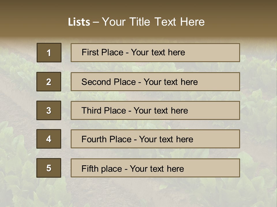 Field Of Lettuce PowerPoint Template